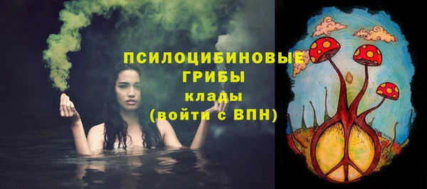 прущие грибы Алексеевка