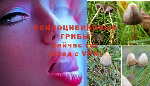 меф Алзамай